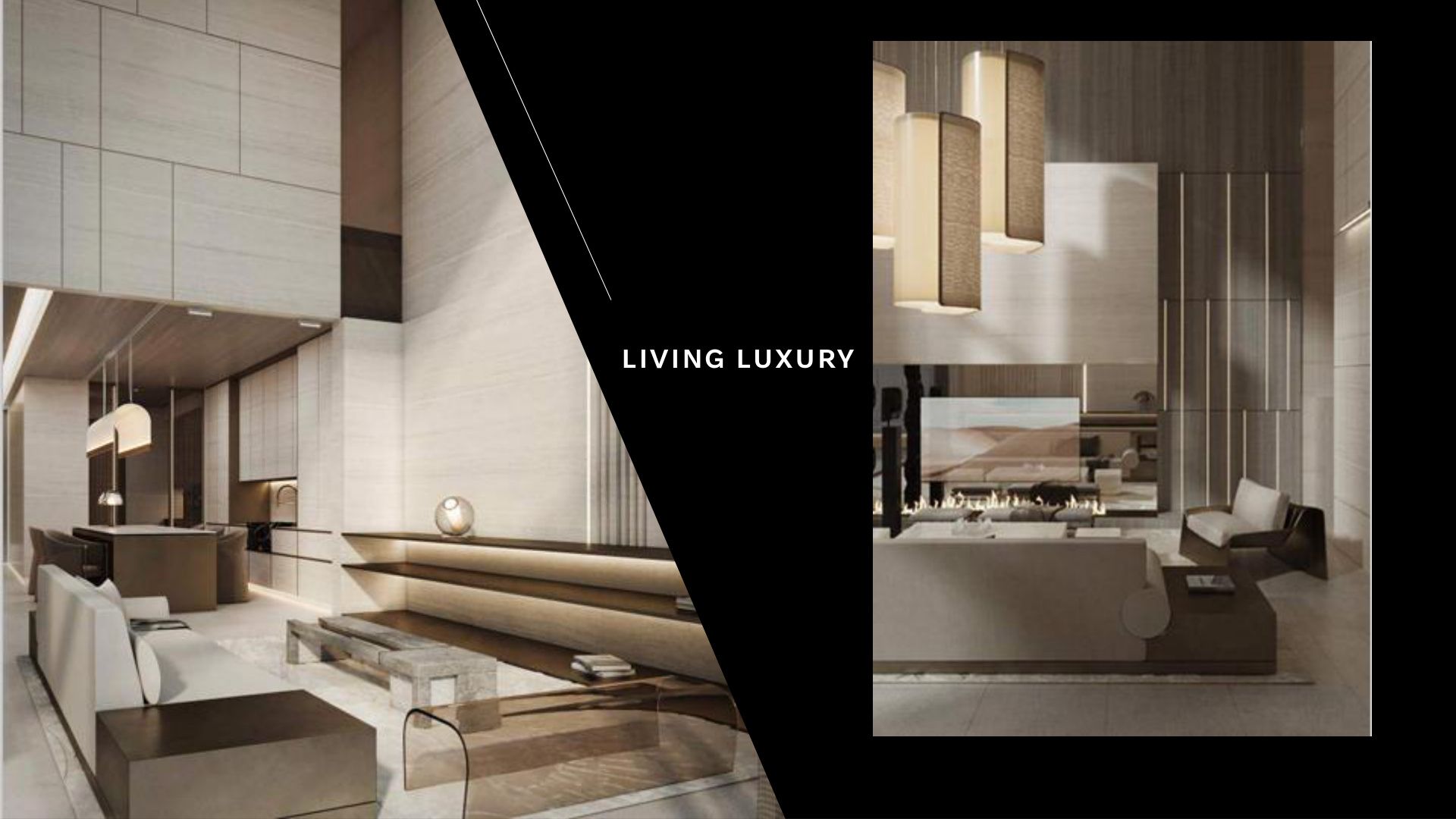 Living luxury interior concept
